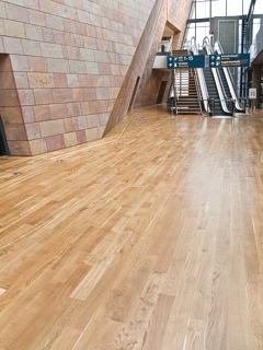 Floor renovation project in Highbury